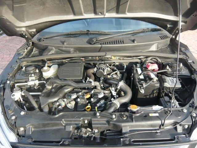 25050779_carP_l_5.jpg