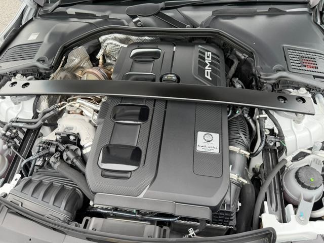 26555134_carP_l_12.jpg