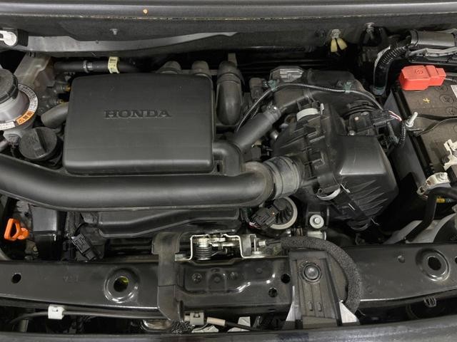 24932556_carP_l_16.jpg