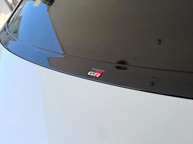 24952930_carP_l_20.jpg