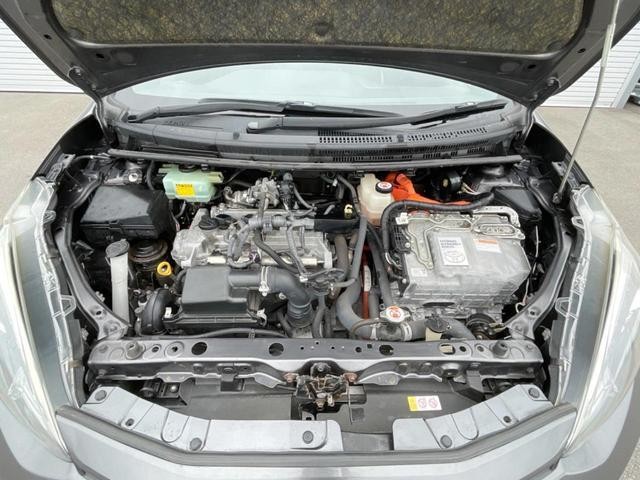 26623773_carP_l_11.jpg