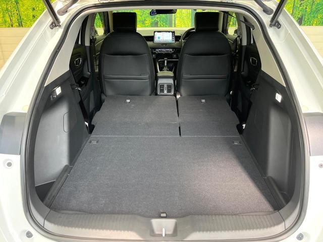 24500806_carP_l_19.jpg
