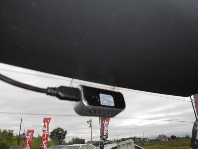 24113084_carP_l_11.jpg
