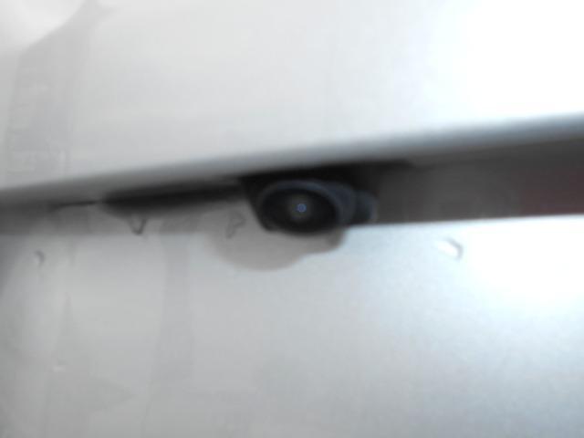 24113084_carP_l_9.jpg