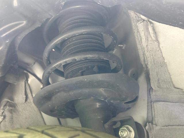 26023219_carP_l_20.jpg