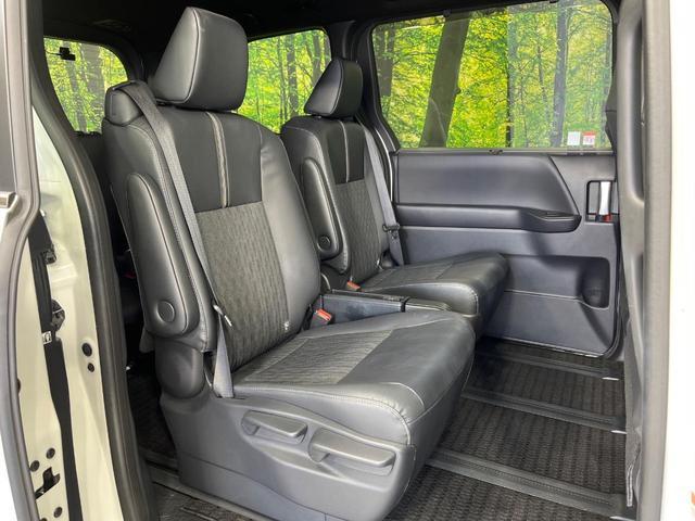 23536127_carP_l_2.jpg