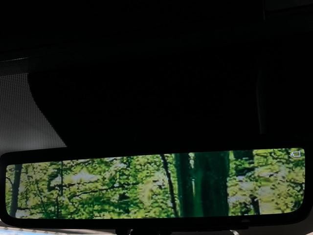 25506959_carP_l_14.jpg