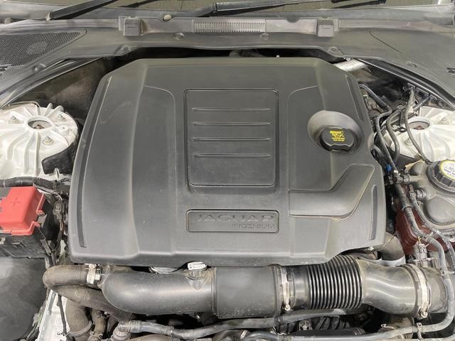 26126704_carP_l_12.jpg