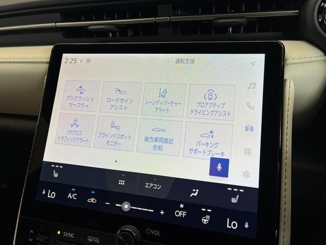 25070878_carP_l_9.jpg