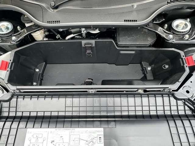 22522538_carP_l_9.jpg