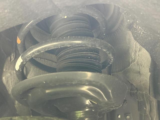 24562436_carP_l_20.jpg