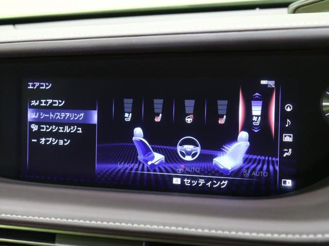 24619677_carP_l_13.jpg