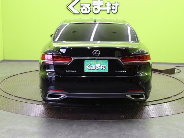 24619677_carP_l_18.jpg