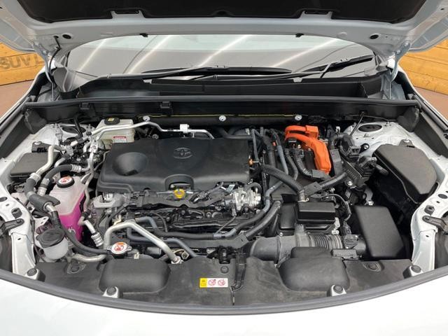 26272560_carP_l_18.jpg
