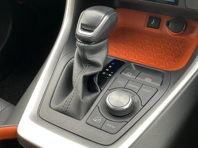 24475812_carP_l_16.jpg