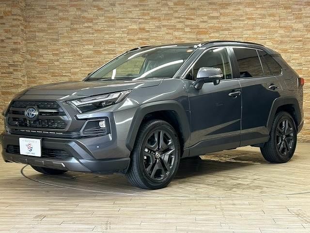 25358716_carP_l_8.jpg