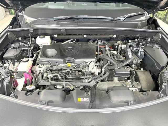 25754927_carP_l_18.jpg