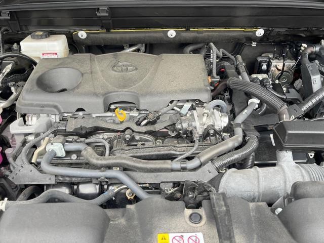 24994417_carP_l_16.jpg