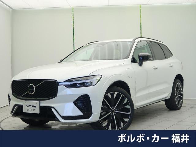 25096452_carP_l_1.jpg