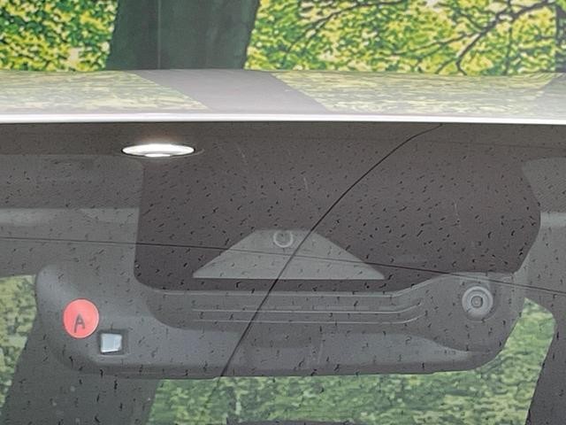 26711229_carP_l_13.jpg