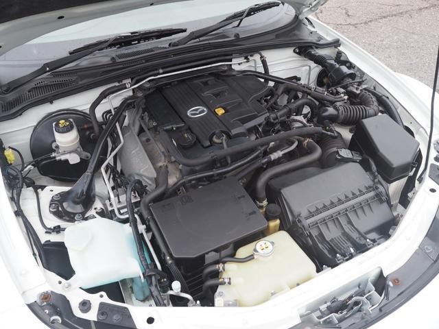 25152617_carP_l_20.jpg