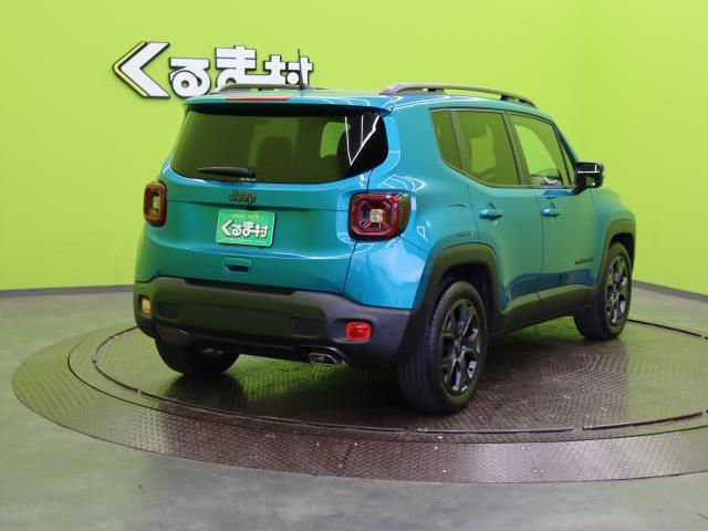 24619678_carP_l_16.jpg