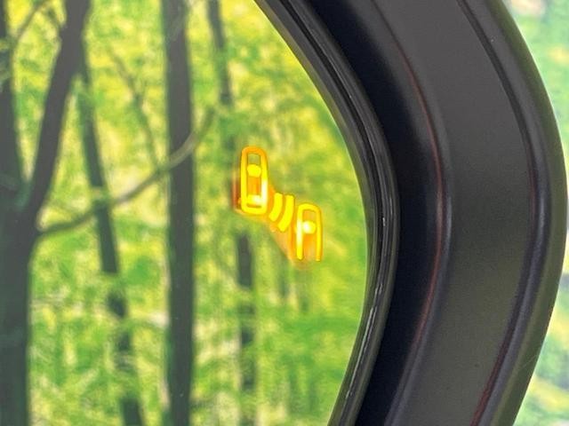 25283900_carP_l_14.jpg