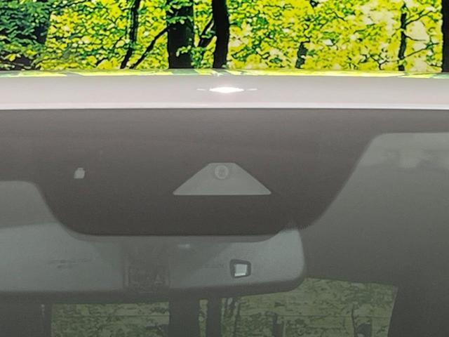 22915883_carP_l_15.jpg