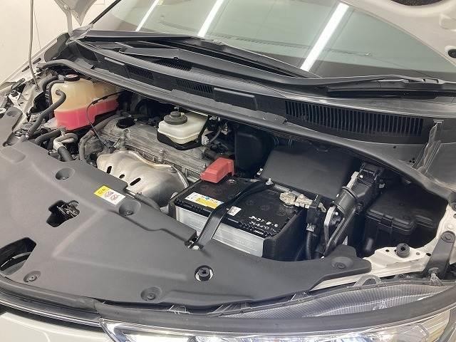 24843578_carP_l_16.jpg