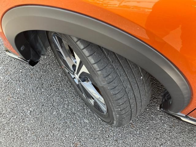 25278718_carP_l_19.jpg