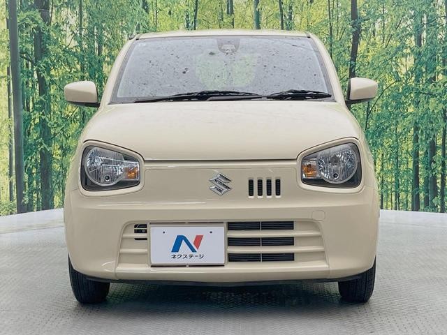26063376_carP_l_8.jpg