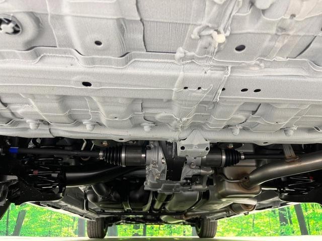 26578385_carP_l_18.jpg