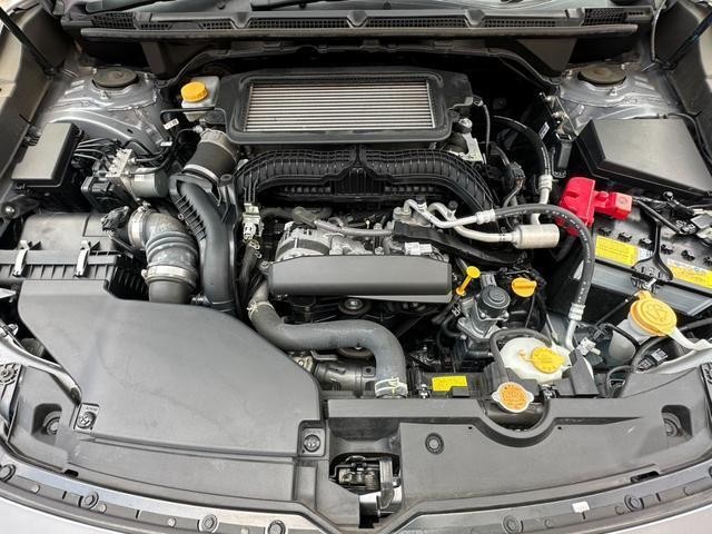 25220410_carP_l_18.jpg