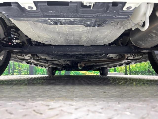 24932817_carP_l_18.jpg