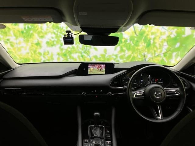 25123342_carP_l_17.jpg