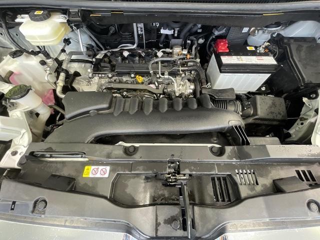 26293518_carP_l_18.jpg