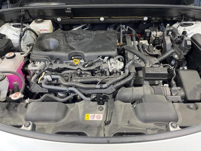25263444_carP_l_18.jpg