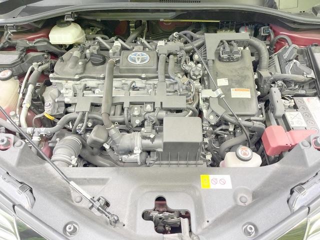 25283749_carP_l_16.jpg
