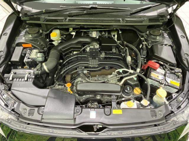 23226023_carP_l_18.jpg