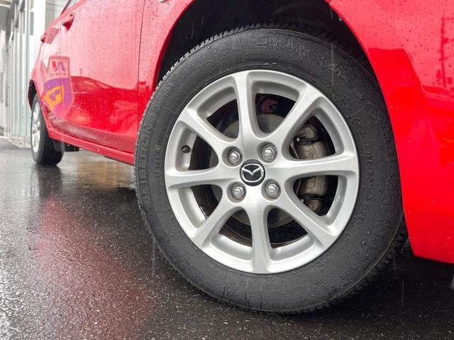 24828882_carP_l_6.jpg