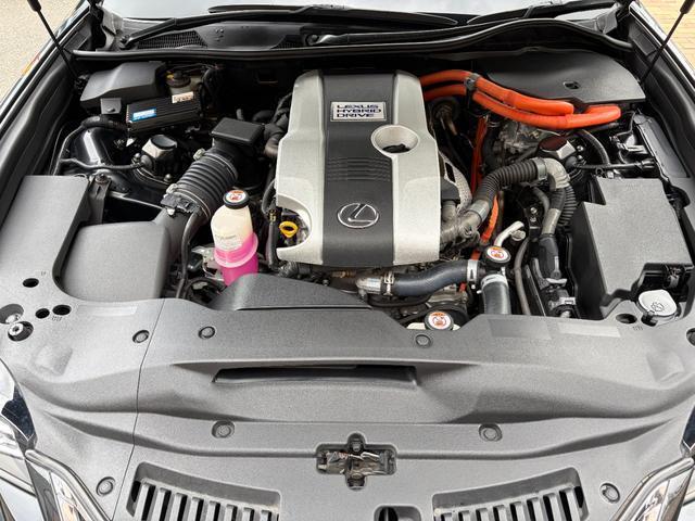 24700530_carP_l_16.jpg