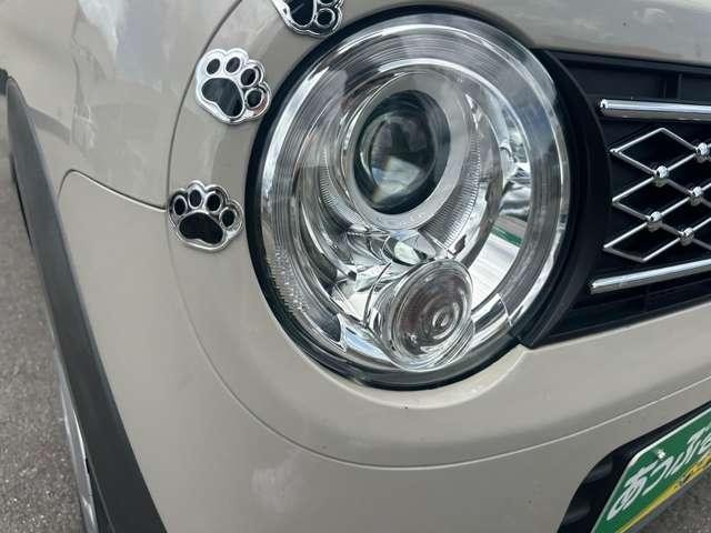 24098049_carP_l_9.jpg