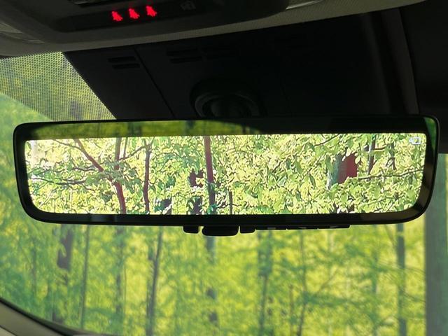 24500983_carP_l_14.jpg