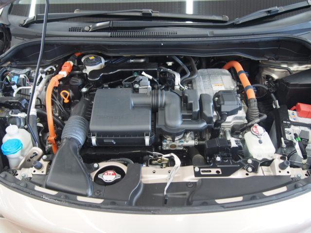 23963606_carP_l_17.jpg