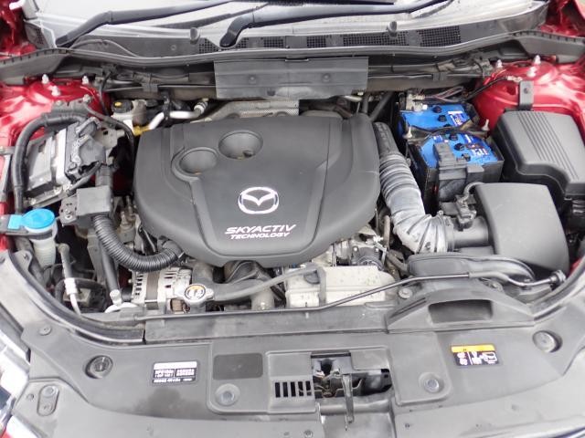 26736763_carP_l_17.jpg