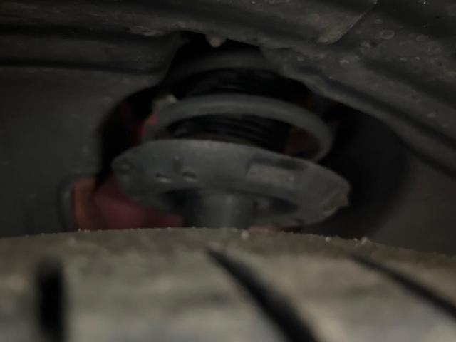 25527057_carP_l_20.jpg