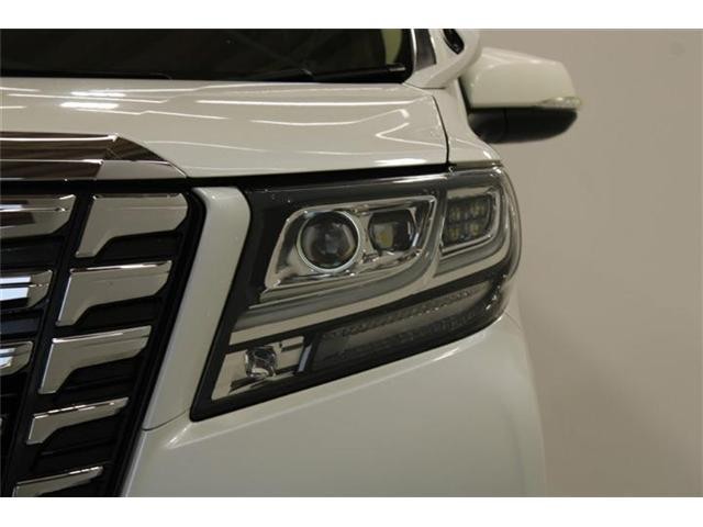 26320078_carP_l_9.jpg