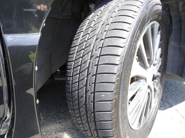 24105558_carP_l_7.jpg