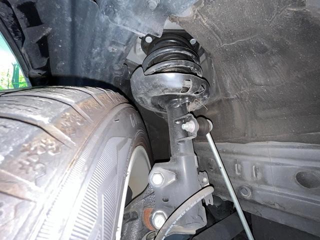 26272840_carP_l_20.jpg
