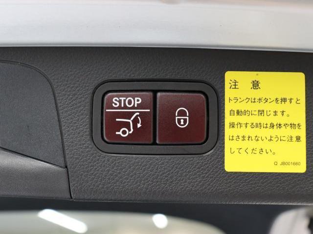 24973825_carP_l_19.jpg